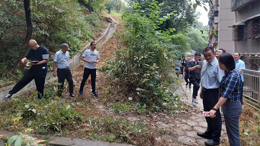 2.集团党委副书记、总司理程一审查新华小区边坡治理情形_副本