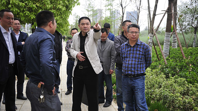 集团董事长肖林赴城南新区南塔片区基础设施建设等项目现场调研