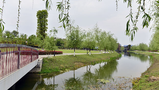 集团全力推进小枧生态湿地公园建设